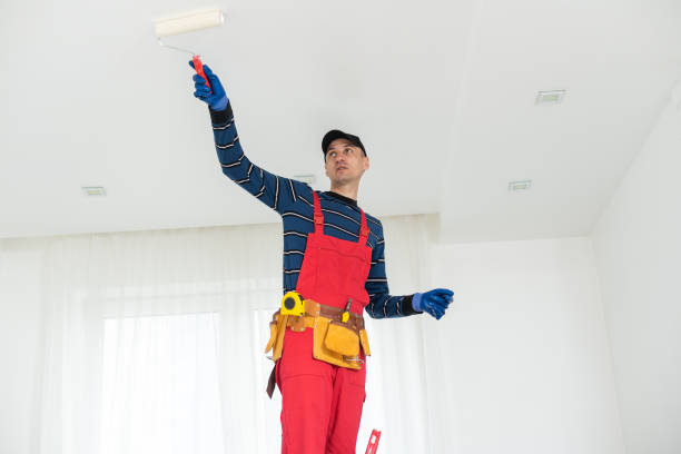 Best Black Mold Removal  in USA